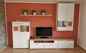 Gemütliche 90 qm Wohnung in Saarburg, zentral gelegen, Garten mit Aussicht, separater Eingang